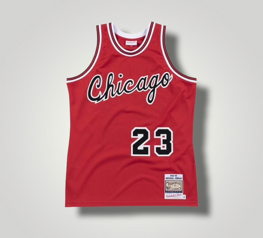 Chicago Bulls Jordan Red Basketball Jersey